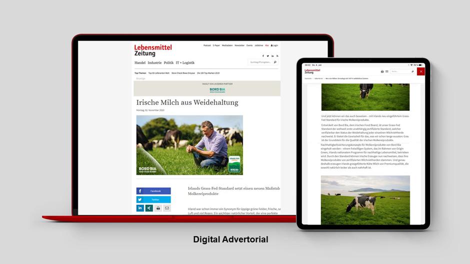 Diverse advertising of Irish products in terms of design and content in the digital advertorial on www.lebensmittelzeitung.net
